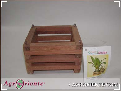 Suministros y Accesorios - 